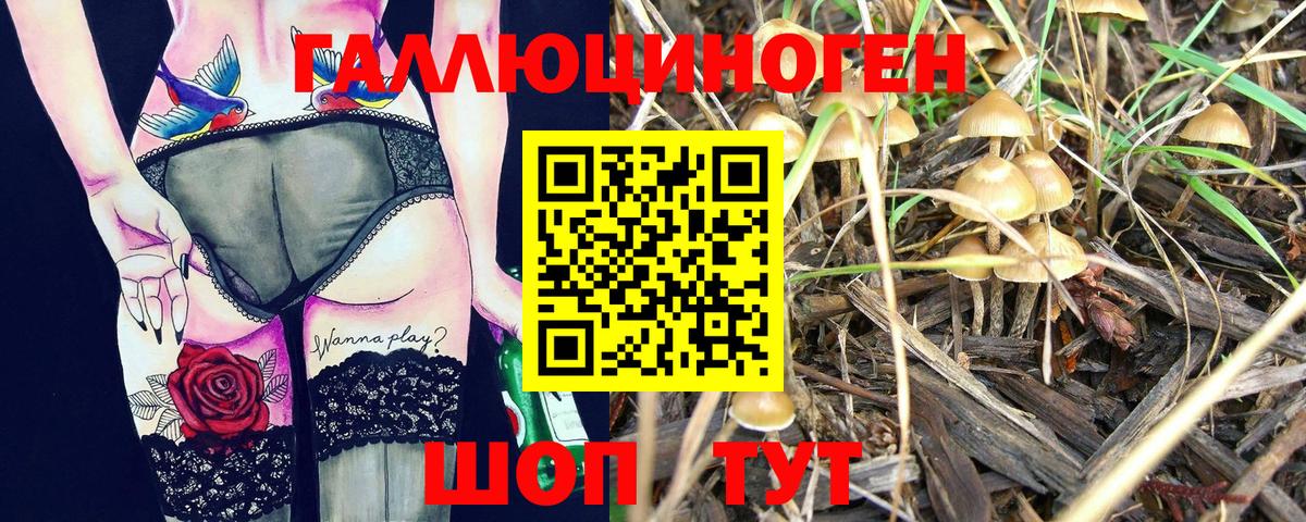 Псилоцибиновые грибы GOLDEN TEACHER Прохладный