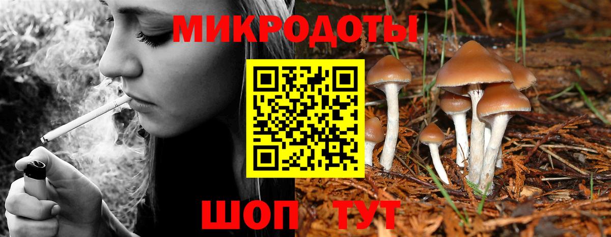 где найти   Вход с VPN  Псилоцибиновые грибы ЛСД  Прохладный  Галлюциногенные грибы Cubensis 